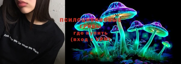 дмт Верея