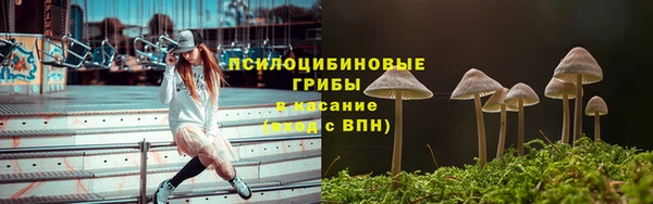 дмт Верея