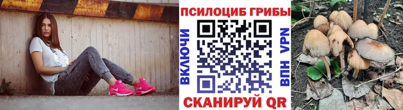 ОМГ ОМГ tor  хочу наркоту  Верхняя Пышма  Псилоцибиновые грибы Magic Shrooms 
